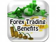 FREE forex trading courses