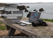 Professional WordPress Website Development Services SE Softw