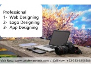 Affordable web design packages With SE Software Technologies