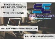 Professional Website Development Agency