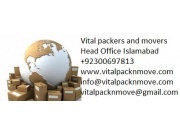 VITAL MOVERS CARGO SERVICES