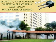 Rabkafumigation "fumigation for office.home.factory