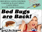 RABKA FUMIGATION Bed bugs Control