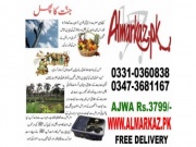 Ajwa Khajoor in lahore