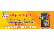 Step Up Height Increaser price in lahore