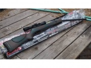 Gamo shadow-1000,